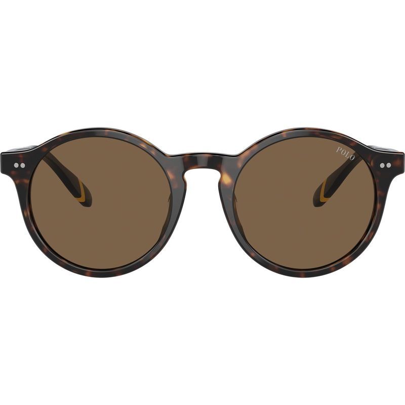 PH4204U - Shiny Dark Havana/Brown Lenses 50 Eye Size